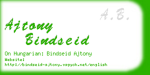 ajtony bindseid business card